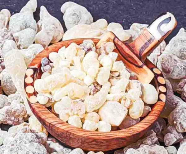Omani frankincense - Image 1