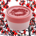 Natural lip scrub - Image 6